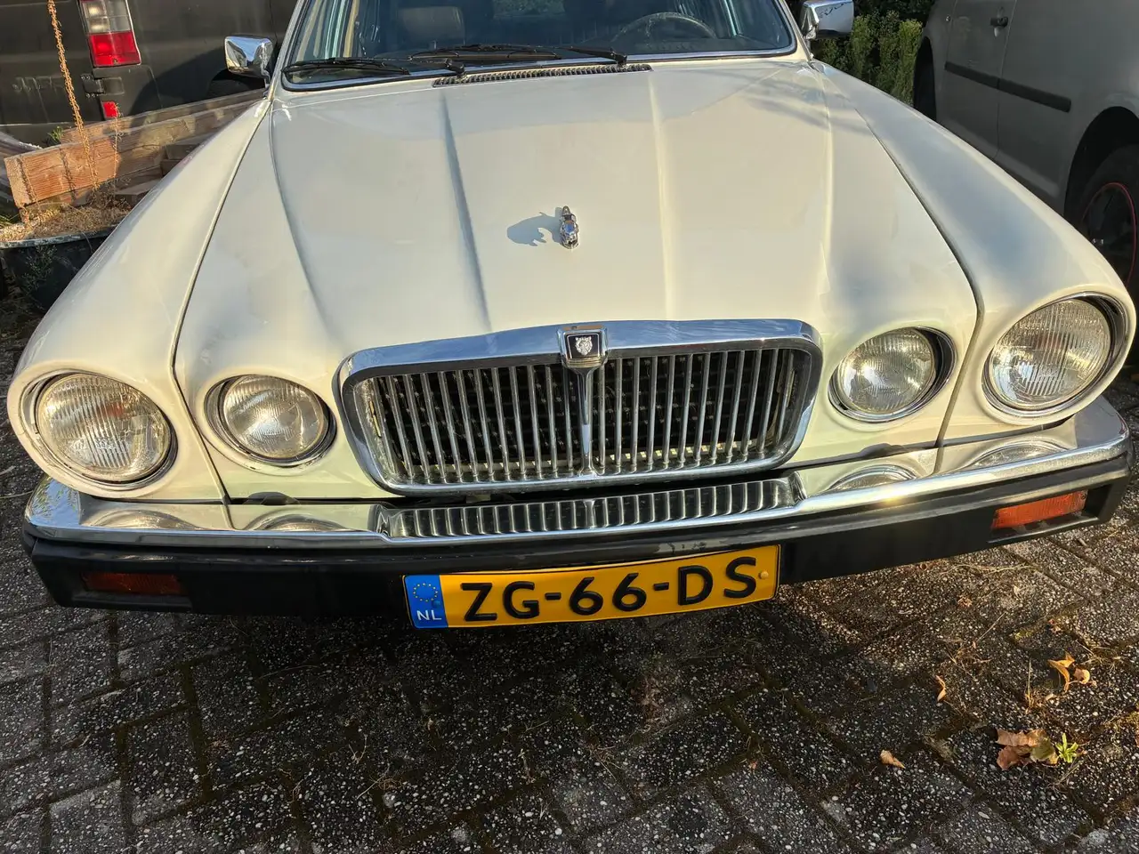 Jaguar Sovereign V12, foto 6