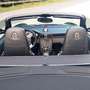 Porsche 997 911 Turbo Cabriolet PDK Schwarz - thumbnail 3