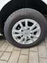 Ford Transit Custom Transit Custom Trend 2,0 TDCI L2H1 300 Weiß - thumbnail 15