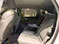 Audi Q7 50 TDI quattro*S-Line*Standhz*Ambiente*HuD* Weiß - thumbnail 20