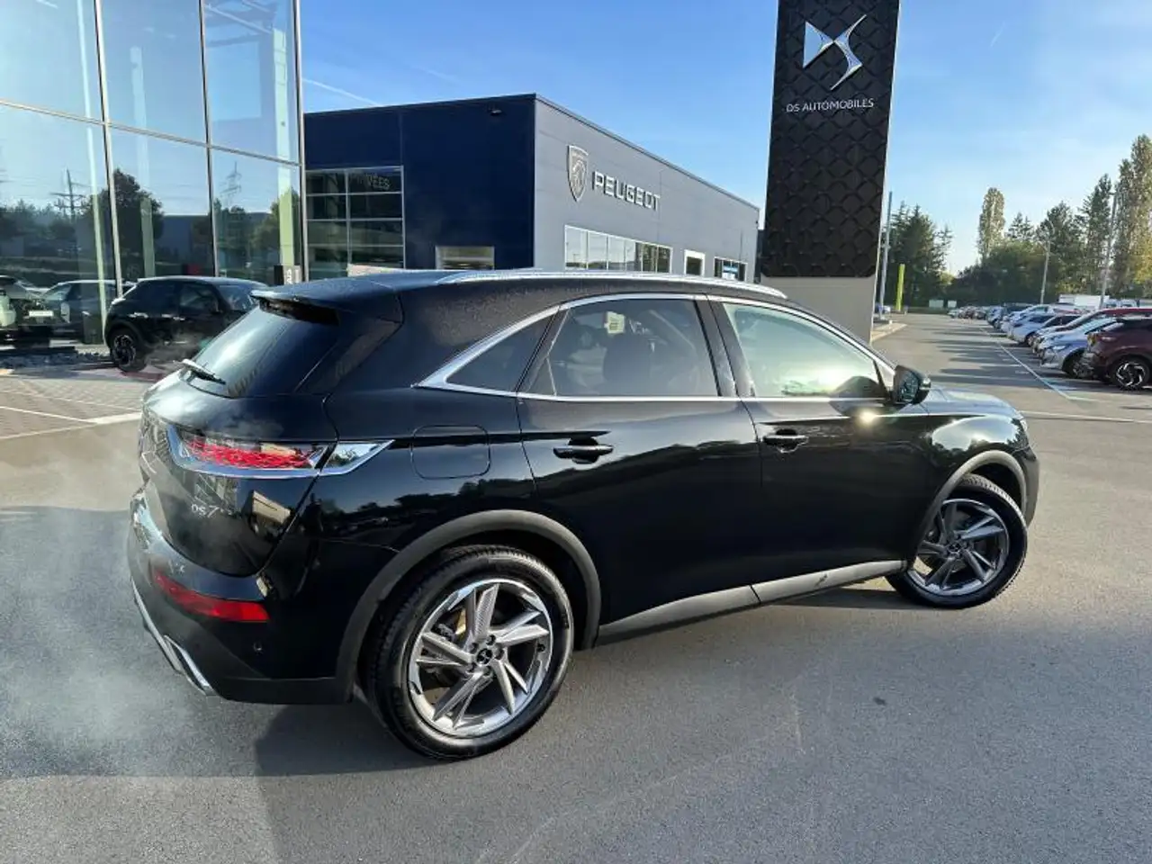 E-Tense Rivoli 300