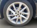 SEAT Ibiza 1.0 TSI FR OPF Schwarz - thumbnail 19