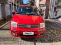 Fiat Panda 1.2 Dynamic Rouge - thumbnail 6