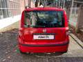 Fiat Panda 1.2 Dynamic Rouge - thumbnail 4