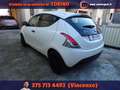 Lancia Ypsilon 1.0 FireFly 5 porte S&S Hybrid Ecochic Silver Bianco - thumbnail 5