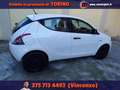 Lancia Ypsilon 1.0 FireFly 5 porte S&S Hybrid Ecochic Silver Bianco - thumbnail 8
