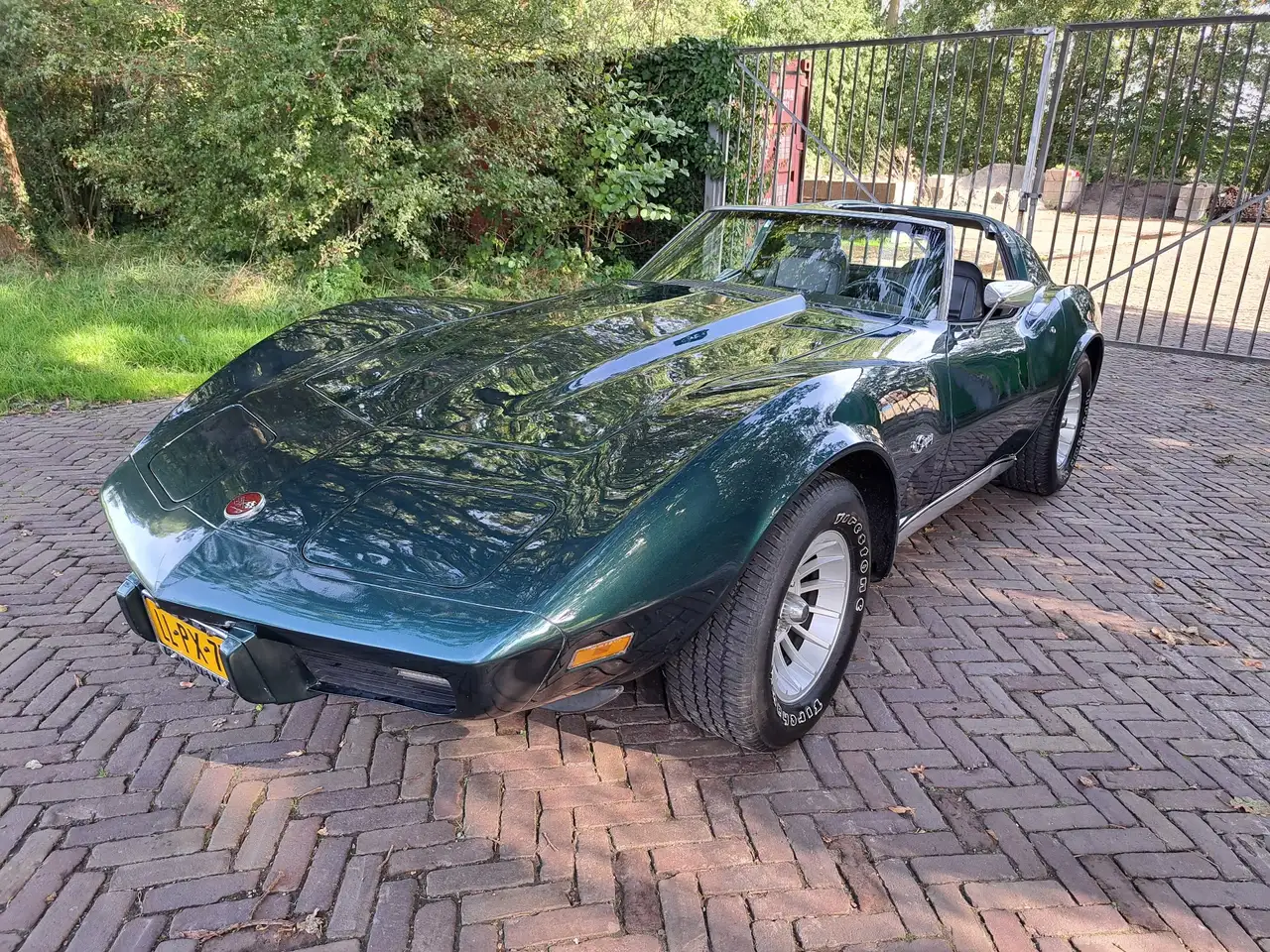 Chevrolet Corvette 5,7 V8 Targa Stingray 1976, foto 6