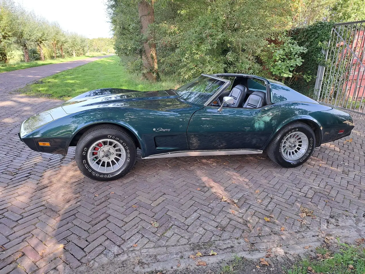 Chevrolet Corvette 5,7 V8 Targa Stingray 1976, foto 2