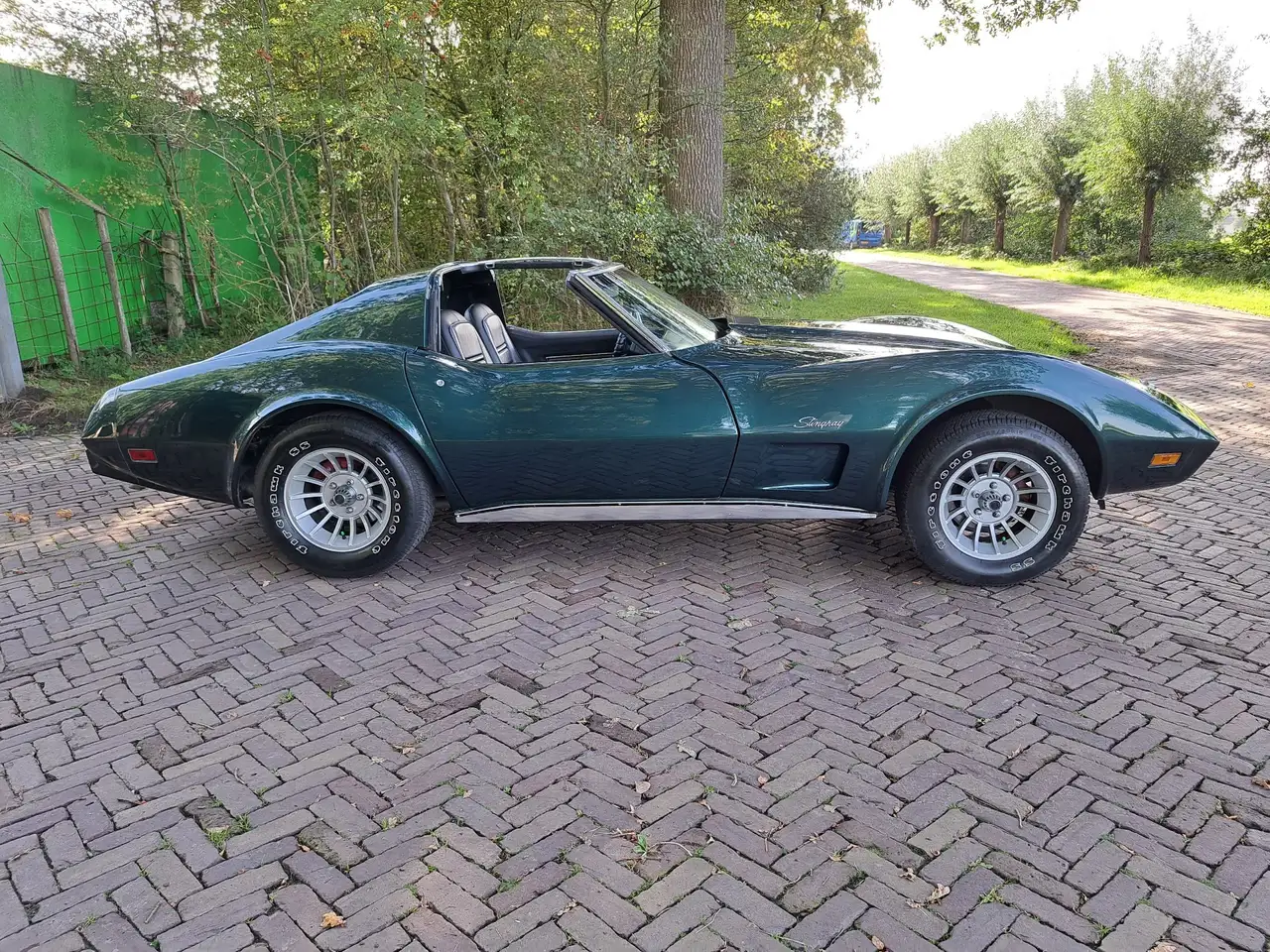 Chevrolet Corvette 5,7 V8 Targa Stingray 1976, foto 5