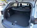 Kia Sportage 1,6 TGDI Silber 4WD DCT Weiß - thumbnail 13
