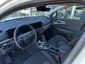 Kia Sportage 1,6 TGDI Silber 4WD DCT Weiß - thumbnail 5