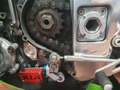 Kawasaki Ninja ZX-7R Ninja 750 ZX-7RR Super Bike Ufficiale Vert - thumbnail 4
