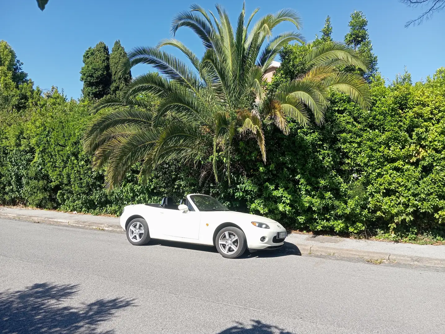 Mazda MX-5 1.8 Wind (mid) - 1