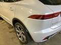 Jaguar E-Pace E-Pace+P250+AWD+Aut.+R-Dynamic+S Gris - thumbnail 10