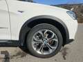 BMW X3 xDrive 20 d xLine Weiß - thumbnail 19