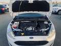 Ford Focus 1.5TDCi Trend+ 120 Blanc - thumbnail 28