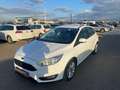 Ford Focus 1.5TDCi Trend+ 120 Wit - thumbnail 2