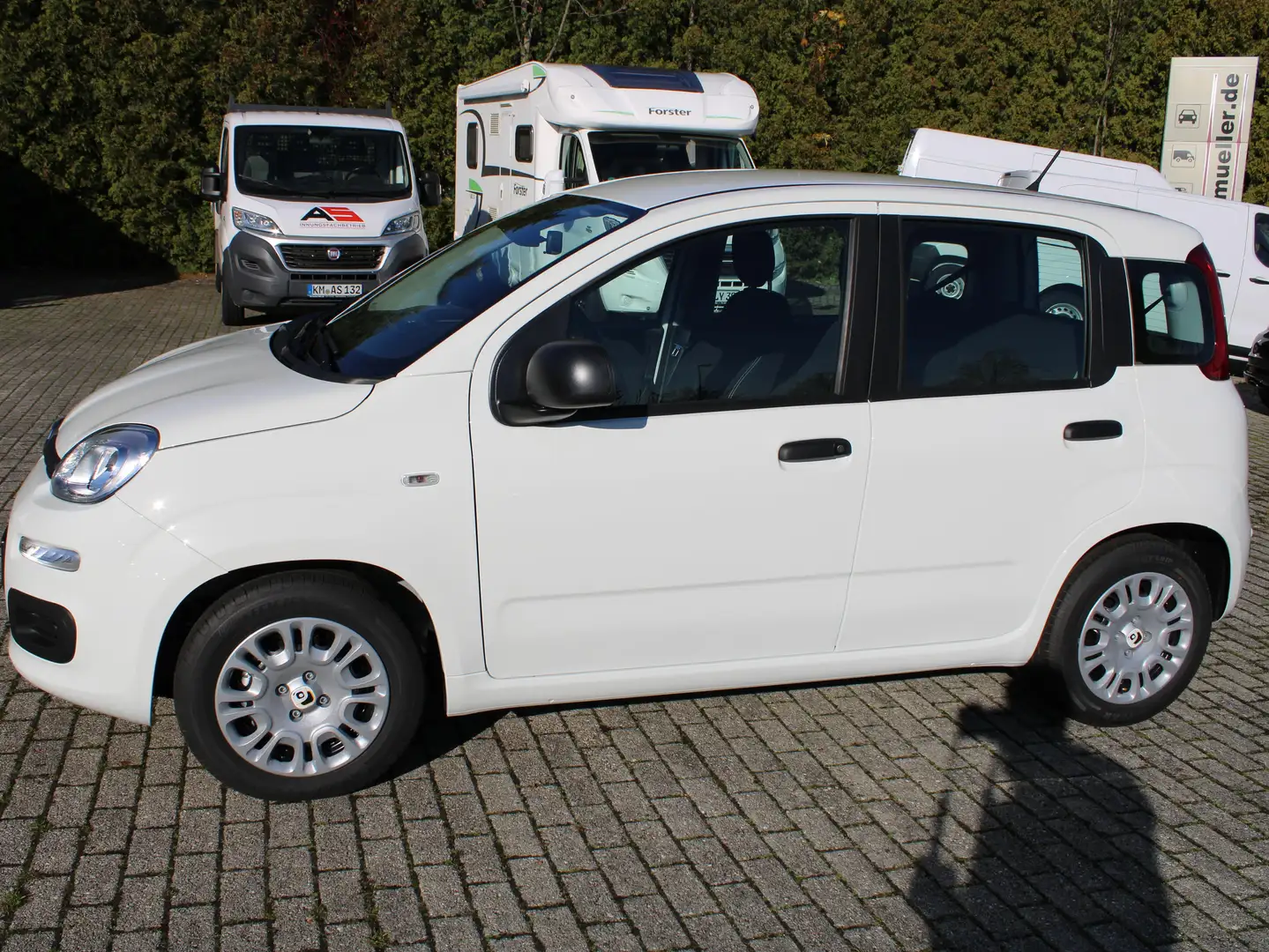 Fiat Panda Panda/Pandina 1.0 GSE Klima, Einparkhilfe, FH, ZV Weiß - 2