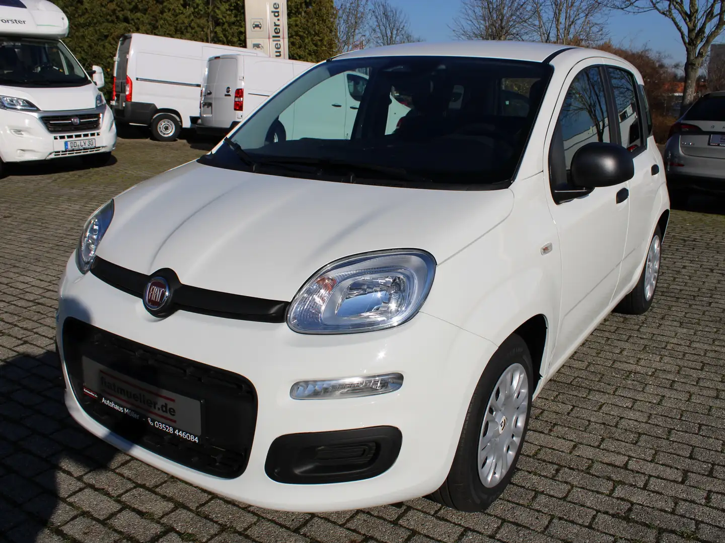 Fiat Panda Panda/Pandina 1.0 GSE Klima, Einparkhilfe, FH, ZV Weiß - 1