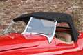 Jaguar XK XK120 SE OTS "Special Equipment" Nicely restored i Rouge - thumbnail 36