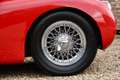 Jaguar XK XK120 SE OTS "Special Equipment" Nicely restored i Rouge - thumbnail 49
