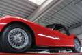 Jaguar XK XK120 SE OTS "Special Equipment" PRICE REDUCTION! Rood - thumbnail 11