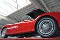 Jaguar XK XK120 SE OTS "Special Equipment" PRICE REDUCTION! Rood - thumbnail 10