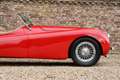 Jaguar XK XK120 SE OTS "Special Equipment" Nicely restored i Rouge - thumbnail 44