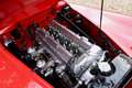 Jaguar XK XK120 SE OTS "Special Equipment" Nicely restored i Rouge - thumbnail 30