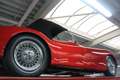 Jaguar XK XK120 SE OTS "Special Equipment" PRICE REDUCTION! Rood - thumbnail 13