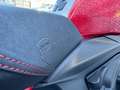 Ducati Panigale R CARBON*AKRAPOVIC* Rojo - thumbnail 18