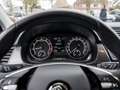 Skoda Fabia Combi 1.0 TSI Best of DSG AHK DAB+ GRA Blau - thumbnail 11