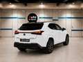 Lexus UX 250h Business Navigation 4WD Blanco - thumbnail 7