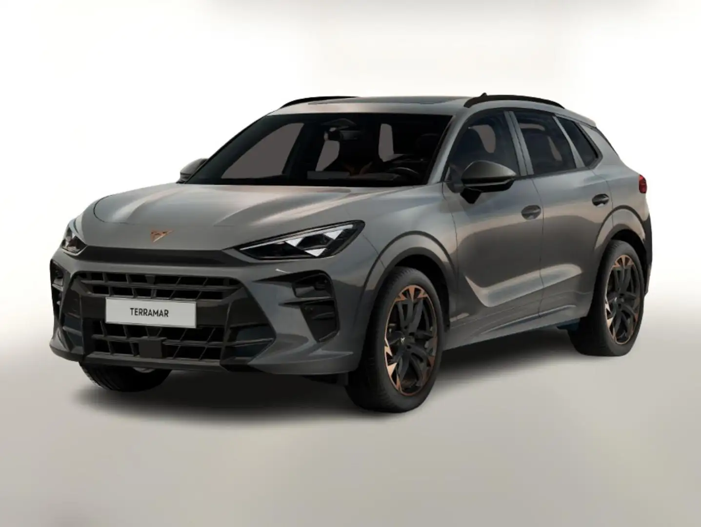 CUPRA Terramar VZ Akebono Pano Matrix 360° HuD Nav 20" 195 kW ... Grau - 1