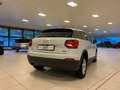 Audi Q2 2.0 TDI quattro S tronic Business Bianco - thumbnail 3