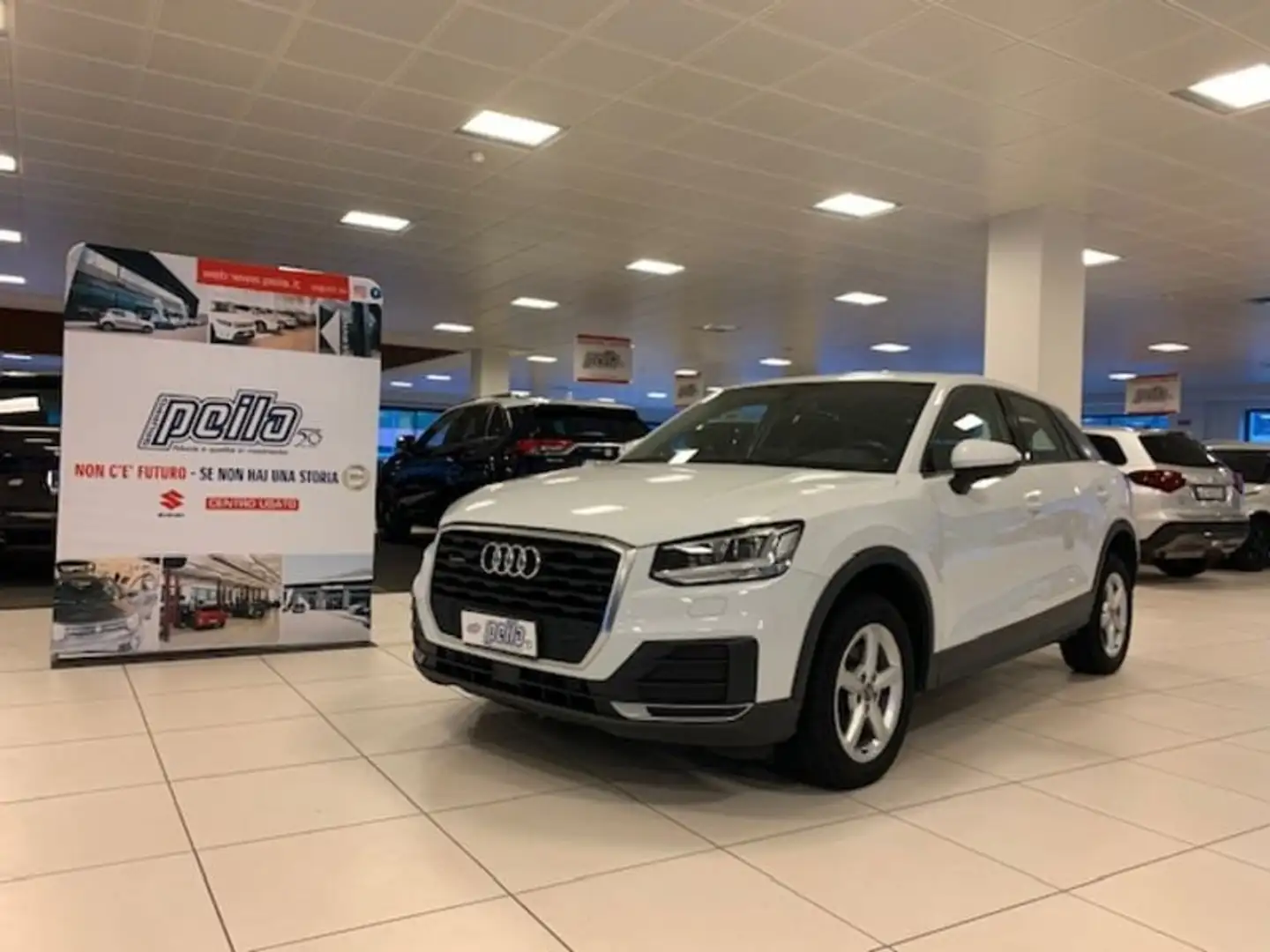 Audi Q2 2.0 TDI quattro S tronic Business Bianco - 1