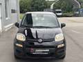 Fiat Panda 4x2 FireFly Hybrid 70 Icon Schwarz - thumbnail 2