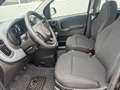 Fiat Panda 4x2 FireFly Hybrid 70 Icon Schwarz - thumbnail 8
