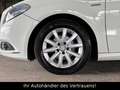 Mercedes-Benz B 180 B -Klasse *1.Hand!*Klimaautomatik Blanc - thumbnail 19