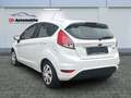 Ford Fiesta 1.0 KLIMA/SHZ/5TRG./ZAHNRIEMEN NEU Blanco - thumbnail 3