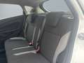Ford Fiesta 1.0 KLIMA/SHZ/5TRG./ZAHNRIEMEN NEU Blanco - thumbnail 9