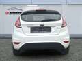 Ford Fiesta 1.0 KLIMA/SHZ/5TRG./ZAHNRIEMEN NEU Blanco - thumbnail 4