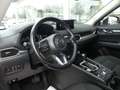 Mazda CX-5 SKYACTIV-G 194 AD´VANTAGE Rot - thumbnail 12