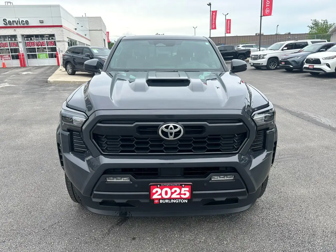 Toyota Tacoma fotografie Toyota Tacoma