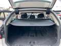 BMW 320 Baureihe 3 Touring 320 d xDrive Advantage Wit - thumbnail 23