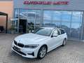 BMW 320 Baureihe 3 Touring 320 d xDrive Advantage Wit - thumbnail 20