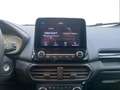 Ford EcoSport 2018 - EcoSport 1.0 ecoboost ST-Line s&s 125cv my2 Blu/Azzurro - thumbnail 14