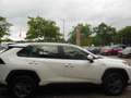 Toyota RAV 4 2.5 4x2 Hybrid Business Edition mit TWW+AHK Weiß - thumbnail 5