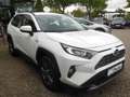 Toyota RAV 4 2.5 4x2 Hybrid Business Edition mit TWW+AHK Weiß - thumbnail 6