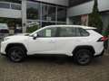 Toyota RAV 4 2.5 4x2 Hybrid Business Edition mit TWW+AHK Weiß - thumbnail 2